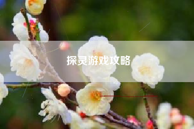探灵游戏攻略