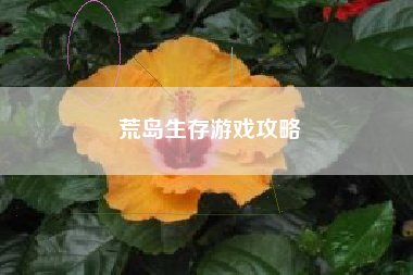 荒岛生存游戏攻略