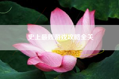史上最贱游戏攻略全关
