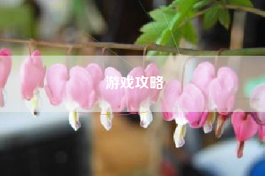 游戏攻略  第1张