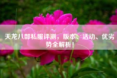 天龙八部私服评测，版本、活动、优劣势全解析！