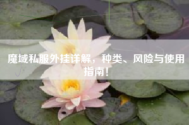 魔域私外挂详解，种类、风险与使用指南！