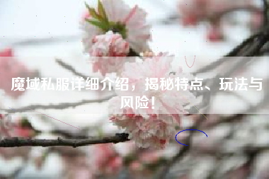 魔域私详细介绍，揭秘特点、玩法与风险！