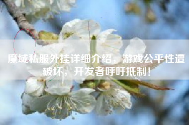 魔域私服外挂详细介绍,游戏公平性遭破坏,开发者呼吁抵制! 第1张 魔域私服外挂详细介绍,游戏公平性遭破坏,开发者呼吁抵制! 第1张