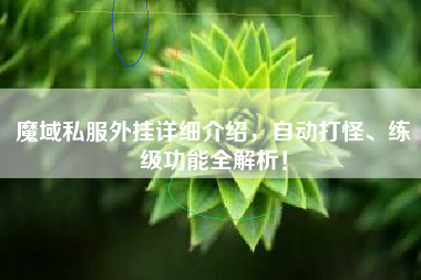 魔域私外挂详细介绍，自动打怪、练级功能全解析！