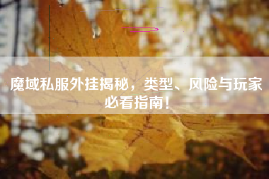 魔域私外挂揭秘，类型、风险与玩家必看指南！