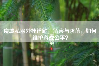 魔域私外挂详解，危害与防范，如何维护游戏公平？
