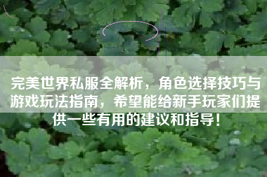  完美世界私服全解析，角色选择技巧与游戏玩法指南，希望能给新手玩家们提供一些有用的建议和指导！