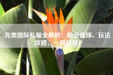  完美国际私服全解析：职业选择、玩法攻略，一网打尽！