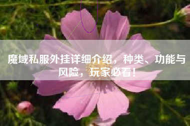 魔域私外挂详细介绍，种类、功能与风险，玩家必看！
