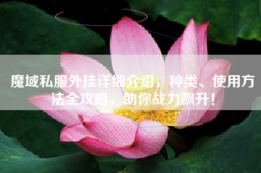 魔域私服外挂详细介绍，种类、使用方法全攻略，助你战力飙升！  第1张