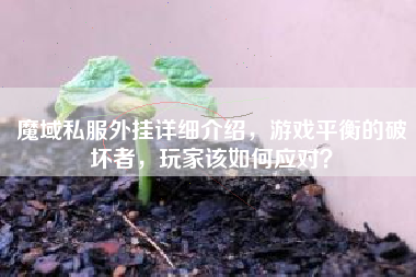 魔域私外挂详细介绍，游戏平衡的破坏者，玩家该如何应对？