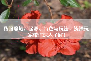 私服魔域，起源、特色与玩法，资深玩家带你深入了解！