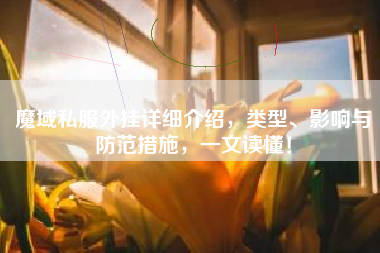 魔域私外挂详细介绍，类型、影响与防范措施，一文读懂！