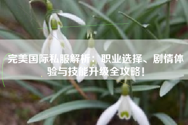 完美国际私服解析：职业选择、剧情体验与技能升级全攻略！  第1张