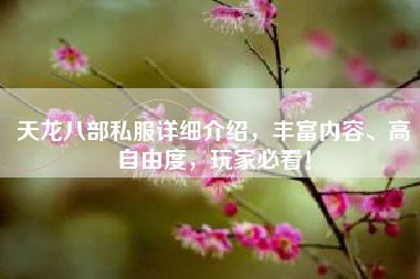 天龙八部私服详细介绍，丰富内容、高自由度，玩家必看！  第1张