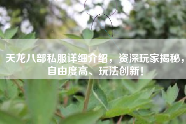 天龙八部私服详细介绍，资深玩家揭秘，自由度高、玩法创新！