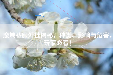 魔域私外挂揭秘，种类、影响与危害，玩家必看！