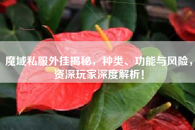 魔域私外挂揭秘，种类、功能与风险，资深玩家深度解析！