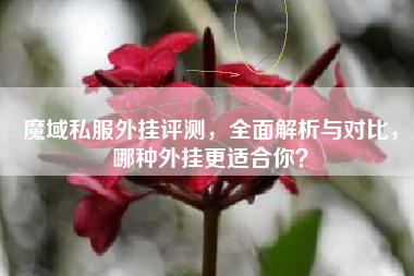 魔域私服外挂评测，全面解析与对比，哪种外挂更适合你？  第1张