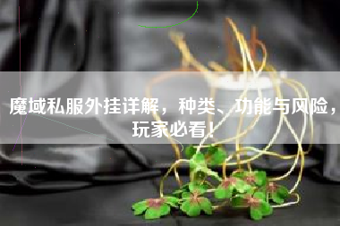 魔域私外挂详解，种类、功能与风险，玩家必看！