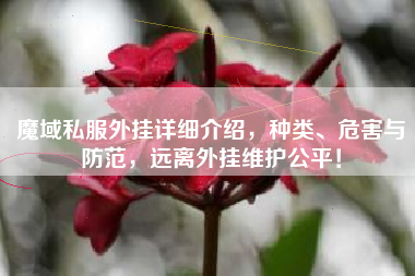 魔域私外挂详细介绍，种类、危害与防范，远离外挂维护公平！