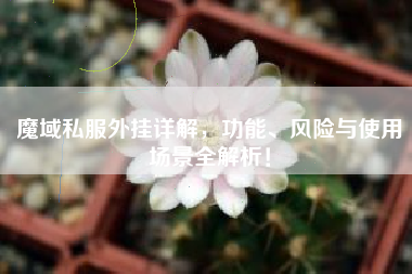 魔域私外挂详解，功能、风险与使用场景全解析！