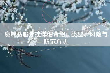 魔域私外挂详细介绍，类型、风险与防范方法