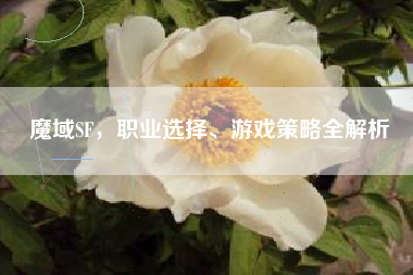 魔域SF，职业选择、游戏策略全解析