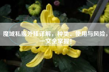 魔域私服外挂详解，种类、使用与风险，一文全掌握！  第1张