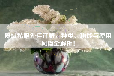 魔域私外挂详解，种类、功能与使用风险全解析！