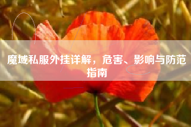 魔域私外挂详解，危害、影响与防范指南