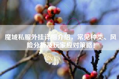 魔域私外挂详细介绍，常见种类、风险分析及玩家应对策略！