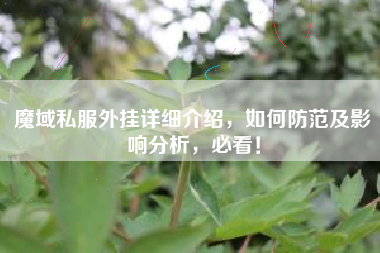 魔域私外挂详细介绍，如何防范及影响分析，必看！