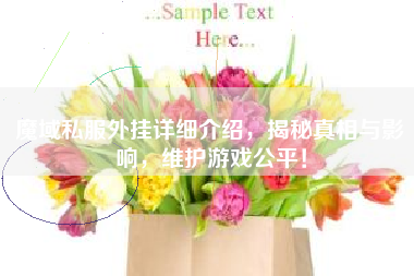 魔域私服外挂详细介绍，揭秘真相与影响，维护游戏公平！  第1张