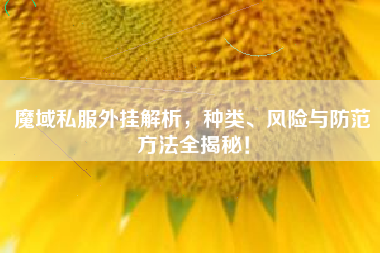 魔域私外挂解析，种类、风险与防范方法全揭秘！