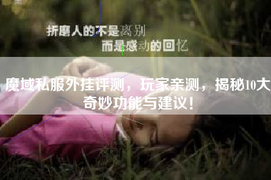 魔域私外挂评测，玩家亲测，揭秘10大奇妙功能与建议！