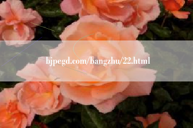 魔域私外挂-bjpegd.com/bangzhu/22.html
