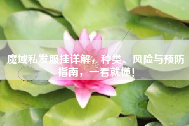 魔域私发服挂详解，种类、风险与预防指南，一看就懂！