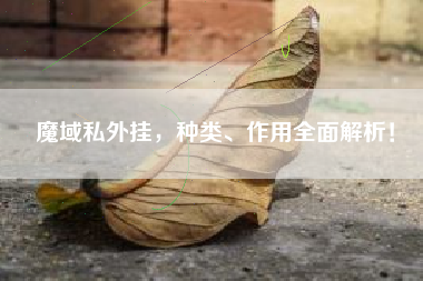 魔域私外挂，种类、作用全面解析！