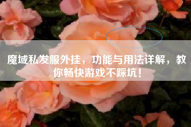 魔域私发服外挂，功能与用法详解，教你畅快游戏不踩坑！