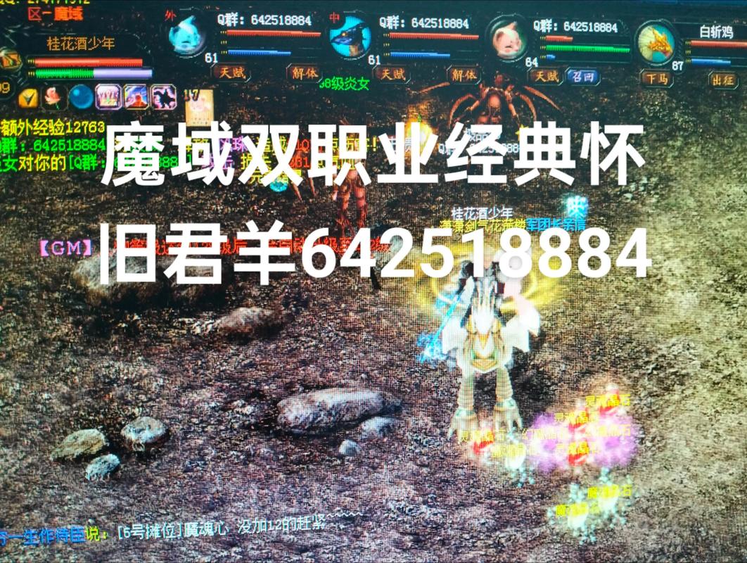 魔域私服攻略，职业选择、副本技巧，助你成为顶级玩家！  第3张