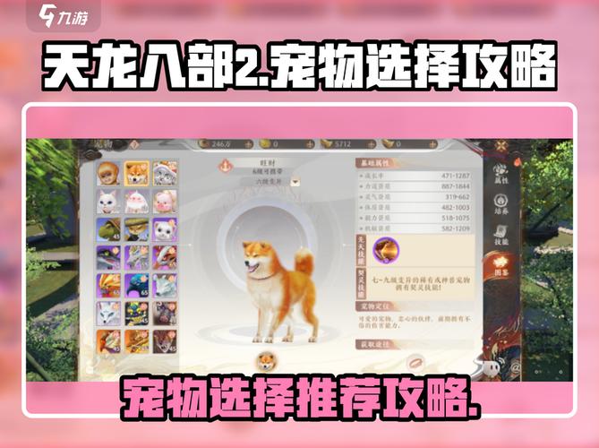 天龙八部私服服，选门派、练技能、养宠物实战攻略！