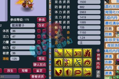 梦幻西游私服解析，特点、玩法与风险，资深玩家必看！  第3张