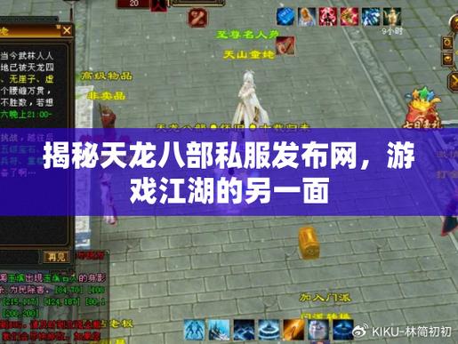 天龙私服内幕揭秘，惊人真相与独特游戏特色，希望对大家有所帮助！  第3张