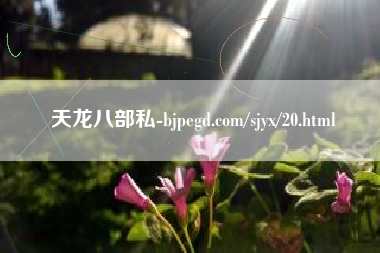 天龙八部私-bjpegd.com/sjyx/20.html